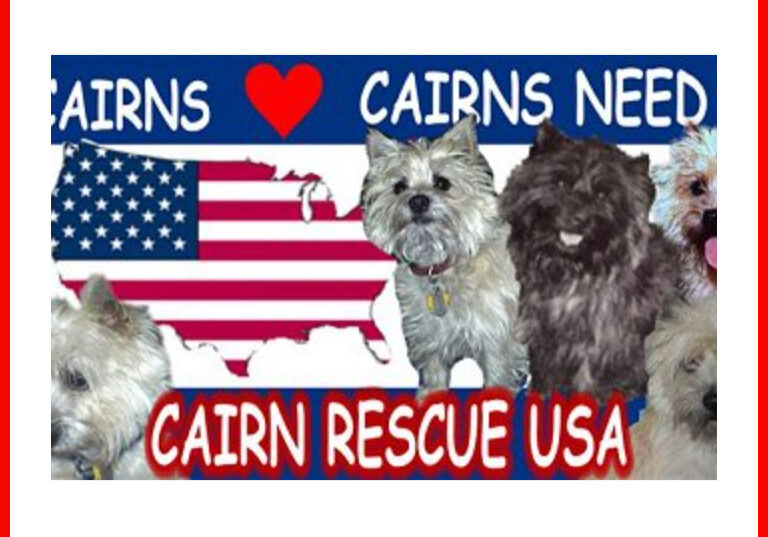 Cairn Rescue USA